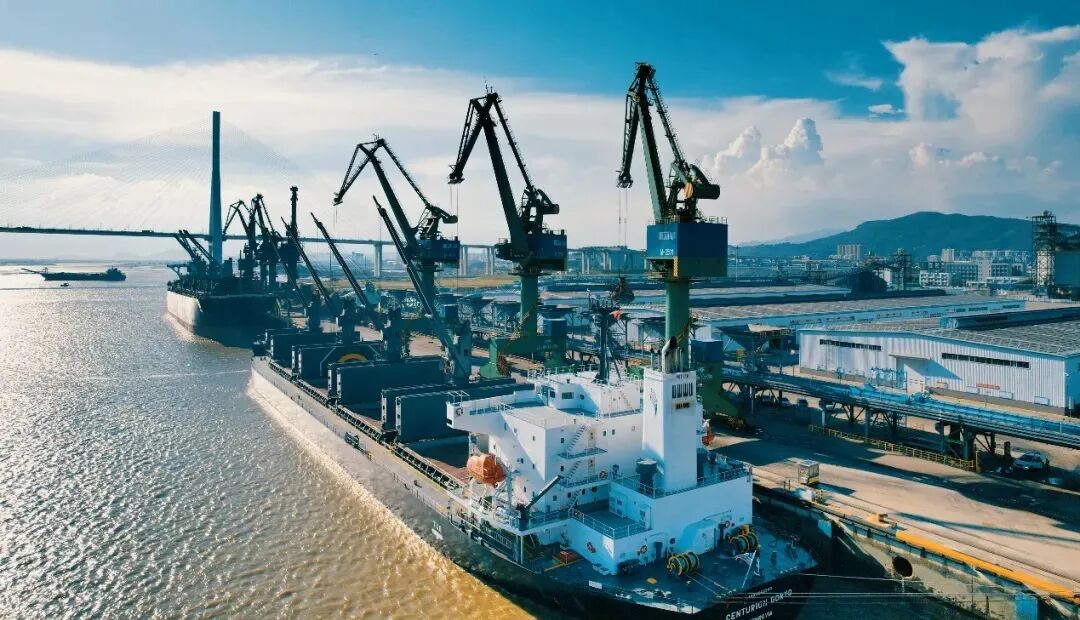 阿根廷高粱直抵福建产业终端