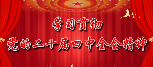 学习贯彻党的二十届四中全会精神